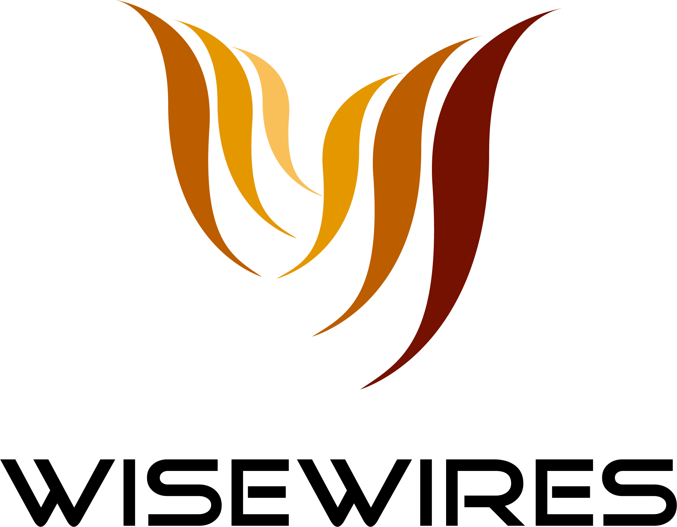 와이즈와이어즈